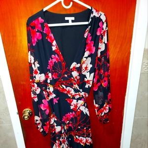Eva Mendez 3X Sheer sleeved  Floral Wrap Dress